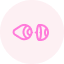 Contact Lens Fitting