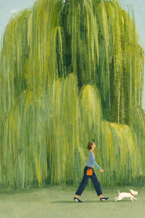 Glasses in 2026: Forget Face Shapes — Fit Is Everything (Plus Single Vision vs Progressive Explained)