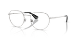 Silver / Demo Lens (1005)