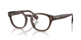 Brown / Demo Lens (4116)