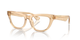 Brown / Demo Lens (4063)
