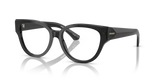 Grey / Demo Lens (4112)
