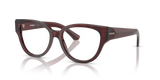 Check Red / Demo Lens (4115)