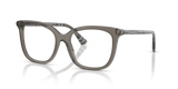 Grey / Demo Lens (4160)
