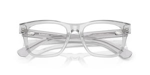 Grey / Demo Lens (4210)