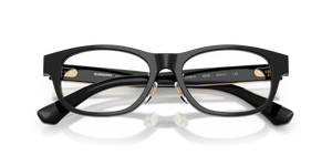 Black / Demo Lens (4206)
