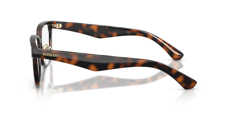 Burberry BE2450D in Dark Havana / Demo Lens (3002) - Back View