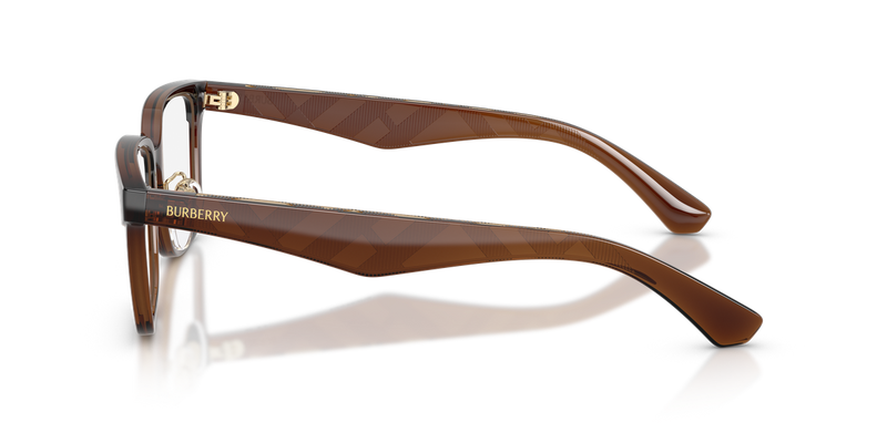 Burberry BE2450D in Brown / Demo Lens (4116) - Alternate View
