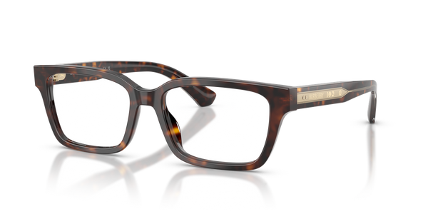Burberry BE2453