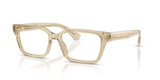 Beige / Demo Lens (4226)