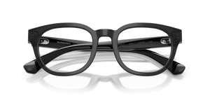 Grey / Demo Lens (4211)