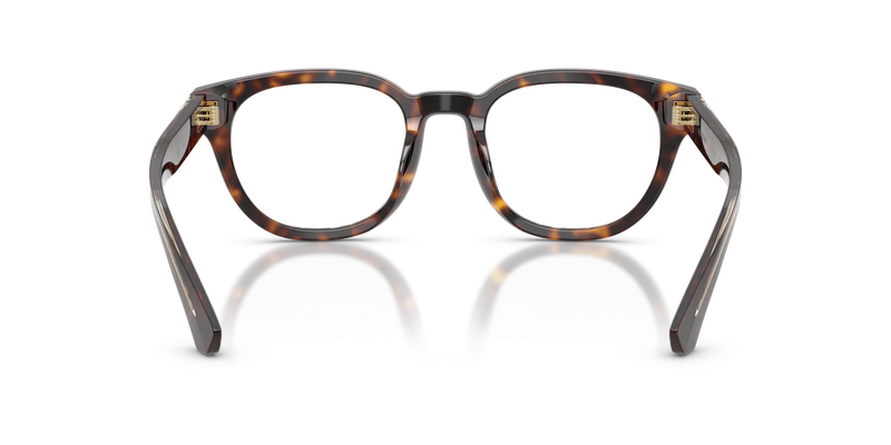 Burberry BE2454 in Dark Havana / Demo Lens (4205) - Temple Detail