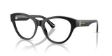Black / Demo Lens (3001)
