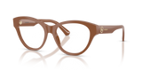 Brown / Demo Lens (4222)
