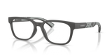 Matte Grey / Demo Lens (4233)