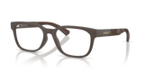 Matte Brown / Demo Lens (4234)