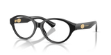 Black / Demo Lens (3001)