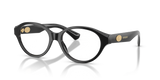 Black / Demo Lens (3001)