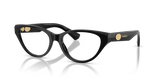 Black / Demo Lens (3001)