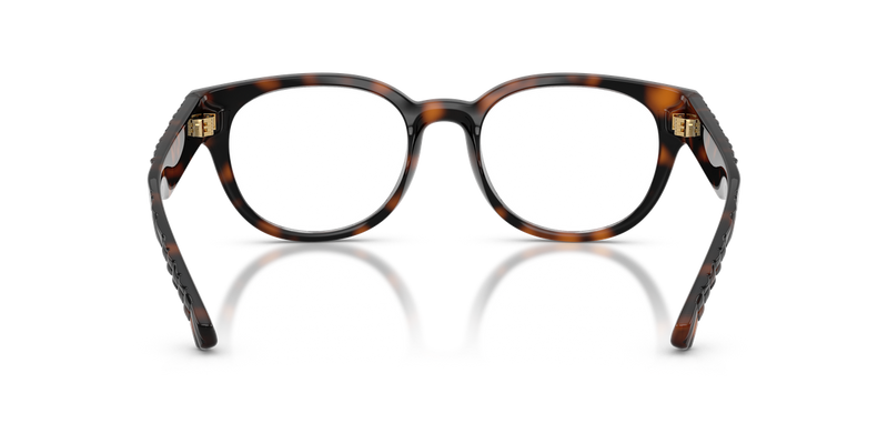 Burberry BE2470U in Dark Havana - Alternate View
