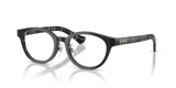 Grey / Demo Lens (4270)