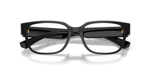 Black / Demo Lens (3001)