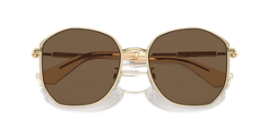 Light Gold / Dark Brown (110973)