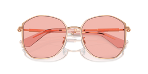 Pink Gold / Pink (1337/5)