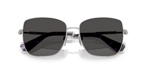 Silver / Dark Grey (100587)