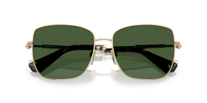Light Gold / Dark Green (110971)