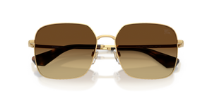 Gold / Brown Gradient (101713)