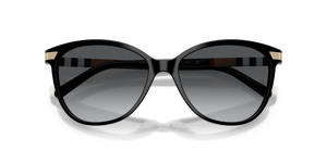 Black / Polarized Grey Gradient (3001T3)