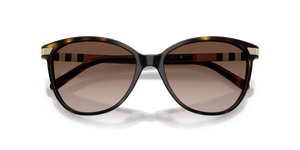 Dark Havana / Brown Gradient (300213)