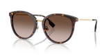 Dark Havana / Brown Gradient (300213)
