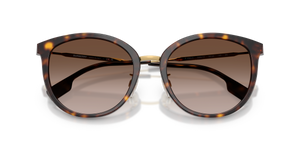 Dark Havana / Brown Gradient (300213)