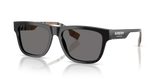 Black / Polarized Grey (377381)