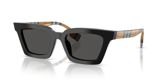 Burberry BRIAR - Black / Dark Grey (395287)