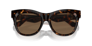 Dark Havana / Dark Brown (300273)