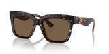 Dark Havana / Dark Brown (300273)