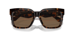 Dark Havana / Dark Brown (300273)