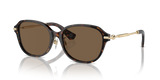 Dark Havana / Dark Brown (300273)
