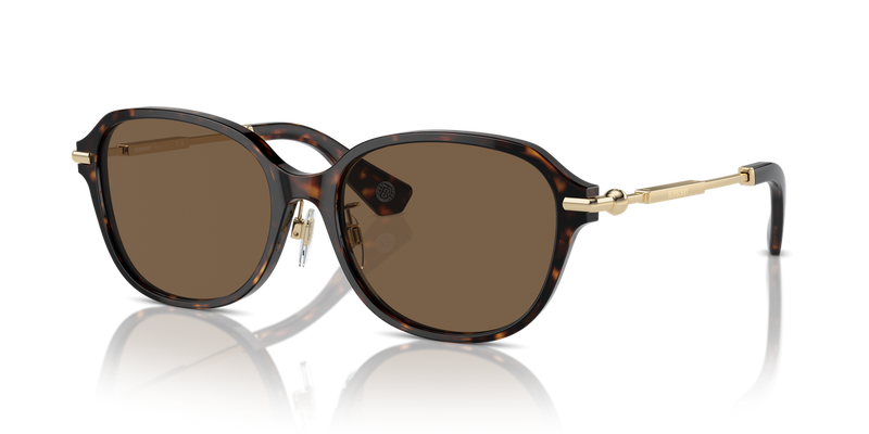 Burberry BE4429D in Dark Havana / Dark Brown (300273) - Alternate View