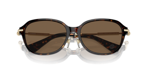 Dark Havana / Dark Brown (300273)
