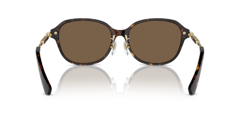 Burberry BE4429D in Dark Havana / Dark Brown (300273) - Alternate View