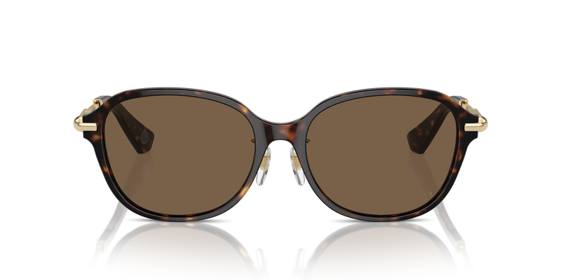 Burberry BE4429D in Dark Havana / Dark Brown (300273) - Alternate View