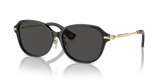 Dark Grey (411287)