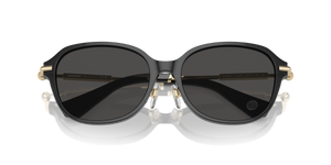 Dark Grey (411287)