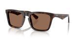 Dark Havana / Dark Brown (300273)