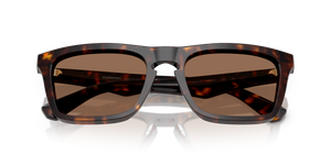 Dark Havana / Dark Brown (300273)