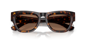 Dark Havana / Dark Brown (300273)